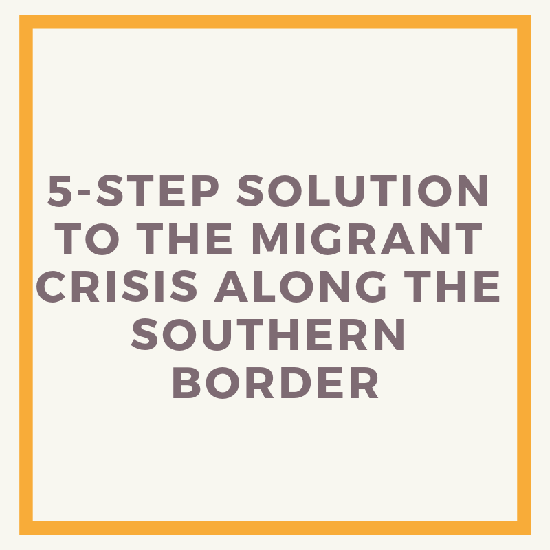 5-Step Solution To The Migrant Crisis Along The Southern Border - The ...